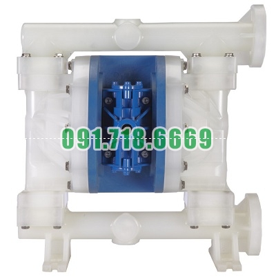 Bán Bơm màng 1 inh FT10P-PP-2TPC-F1 giá rẻ chính hãng