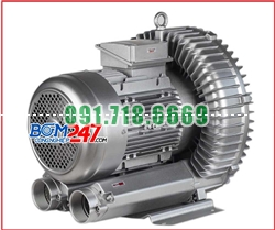 Bán Quạt thổi khí DG-300-36 giá rẻ chính hãng