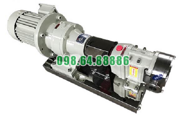 Máy bơm cánh khế 3RP-10 áp suất 0.6 Mpa đường kính kết nối 32 mm